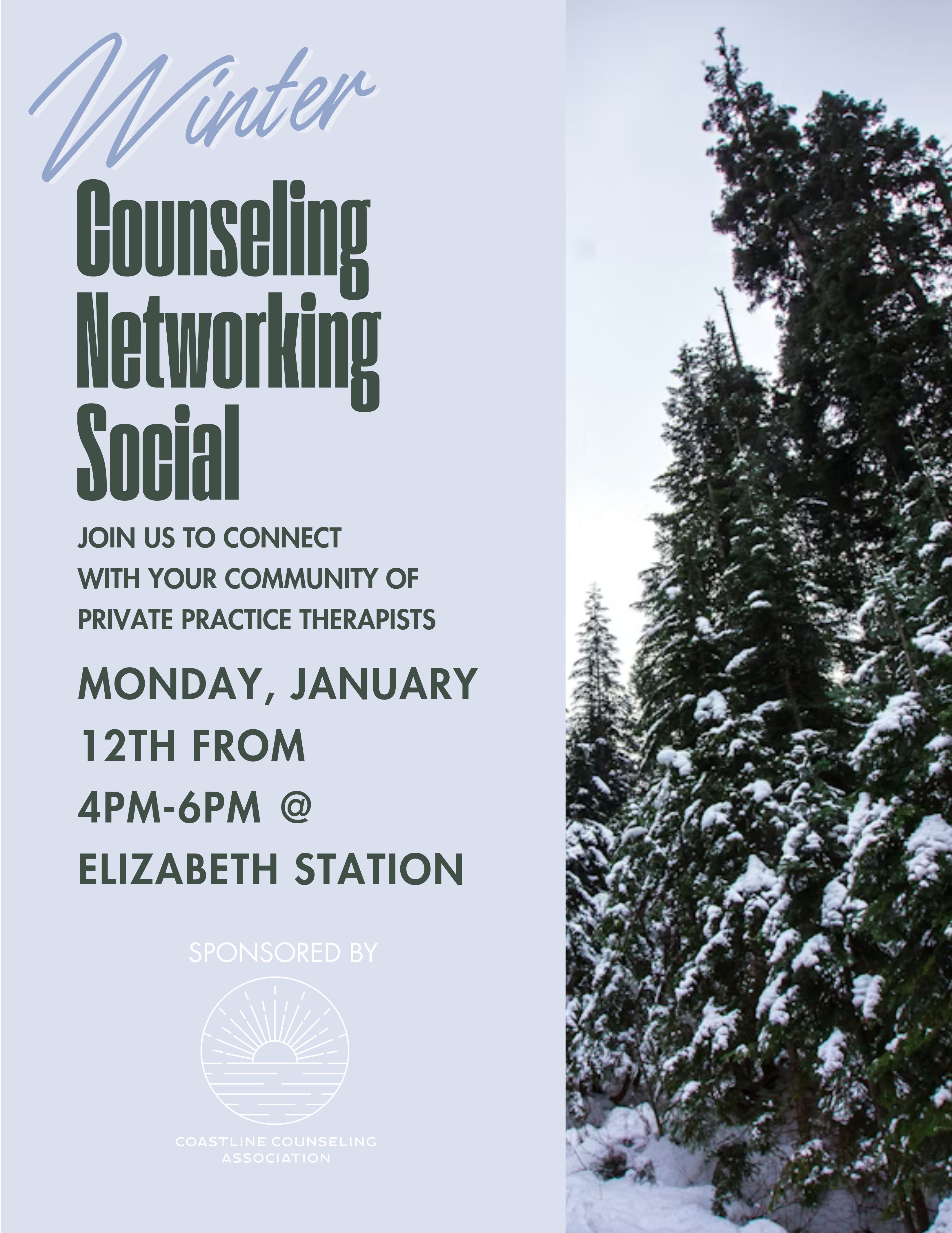 Winter Networking Social Flyer